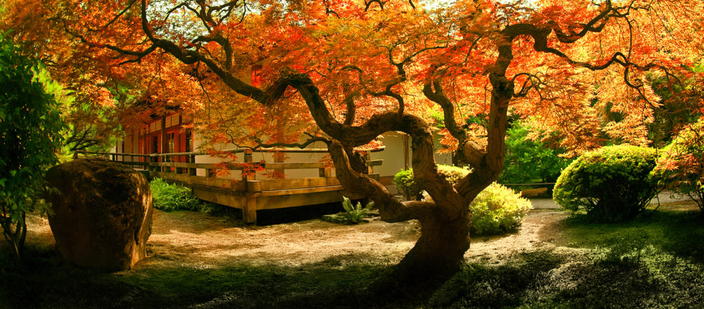 Traditional Japanese tea house in autumn