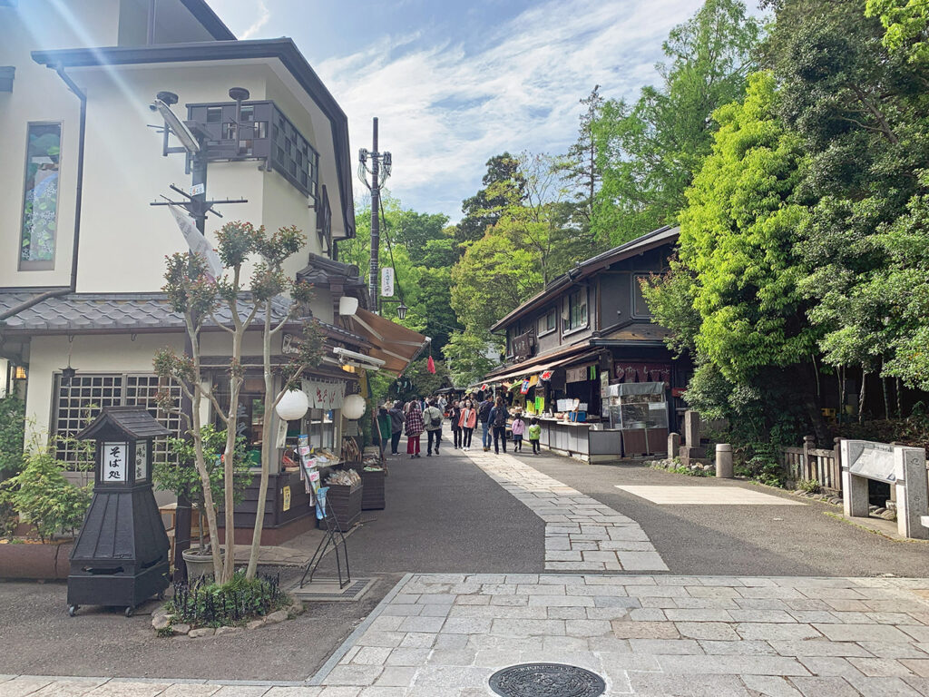 The main street next to Jindaiji, with all sorts of food stalls and shops.