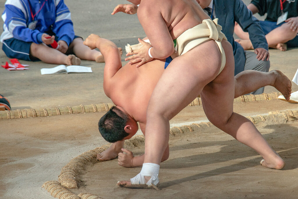 Sumo wrestlers 